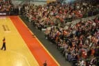 Vereinsausflug 2013 Bild 78